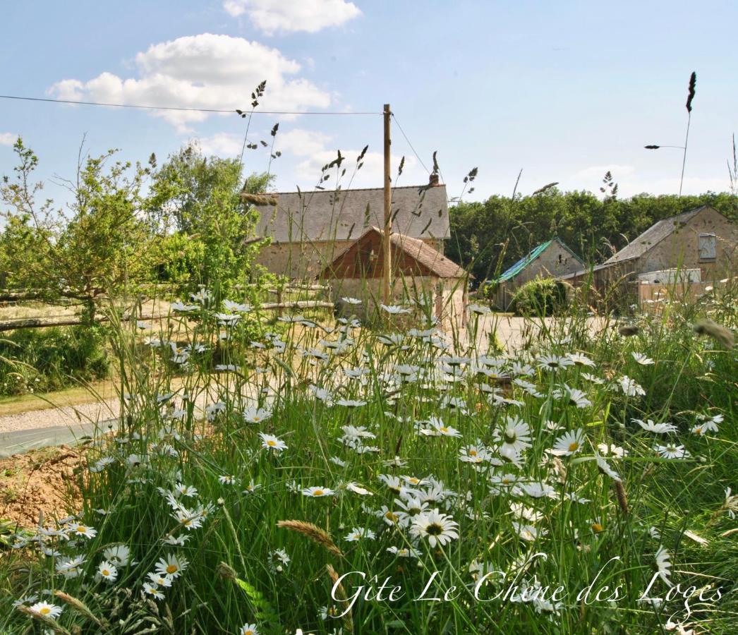 Gite Familial Pour 6 Pers En Campagne Bouere Exteriör bild
